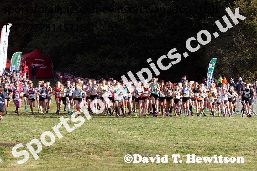 Girls under-15s, 2016 National Cross Country Relays, Berry Hill Park, Mansfield. Photo: David T. Hewitson/Sports for All Pics